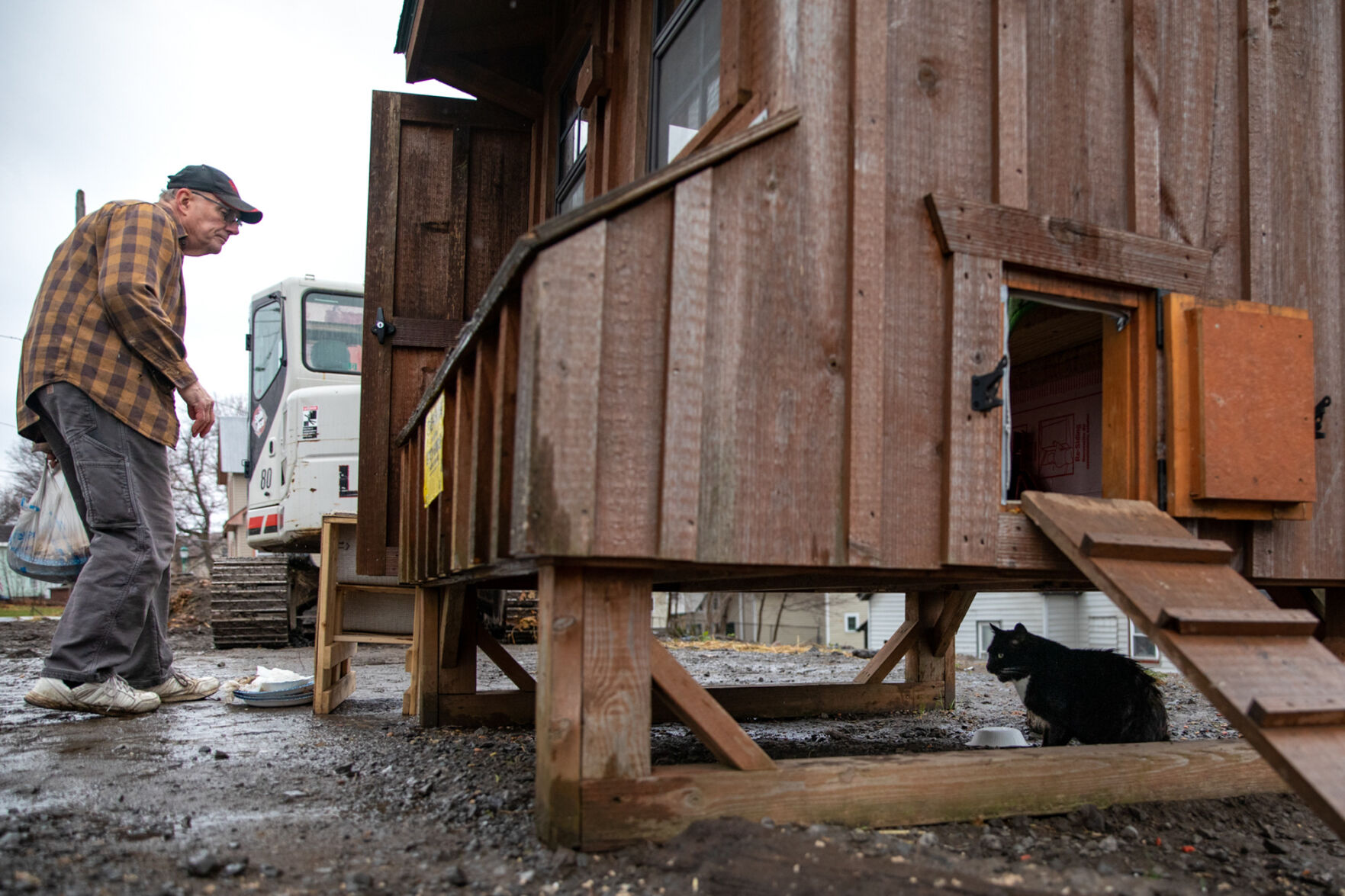 Keeping stray cats safe